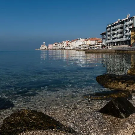 Blue Tide Ivo * Piran